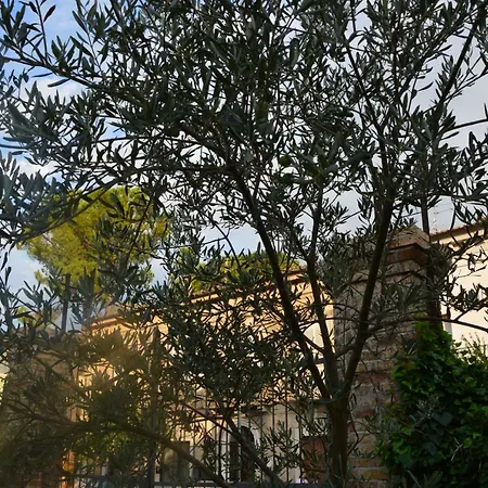La Casa Bianca Di Maria *